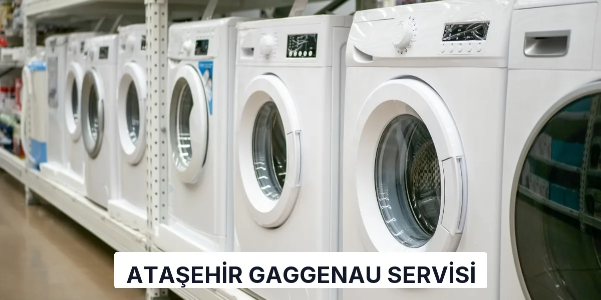 Ataşehir Gaggenau Servisi